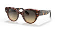 Ray-Ban RB2192 Roundabout Havana On Transparent Pink / Brown Gradient Lens (1324BG) Sunglasses - Color Image