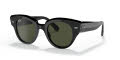 Ray-Ban RB2192 Roundabout Black / Green Lens (901/31) Sunglasses - Color Image