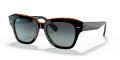 Ray-Ban RB2186 Black On Transparent Brown / Grey Vintage Lens (132241) Sunglasses - Color Image