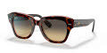 Ray-Ban RB2186 Havana On Transparent Pink / Brown Vintage Lens (1324BG) Sunglasses - Color Image
