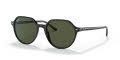 Ray-Ban RB2195 Black / Green Lens (901/31) Sunglasses - Color Image