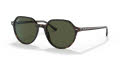 Ray-Ban RB2195 Havana / Green Lens (902/31) Sunglasses - Color Image