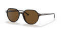 Ray-Ban RB2195 Havana / Polarized Brown Lens (902/57) Sunglasses - Color Image