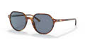 Ray-Ban RB2195 Striped Havana / Blue Lens (954/62) Sunglasses - Color Image