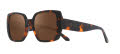 Revo Palma Palma Tortoise Terra (RE 1278 02 BR) Sunglasses - Color Image