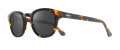 Revo Sterling Sterling Shiny Tortoise Graphite (RE 1255 02 GY Sunglasses - Color Image