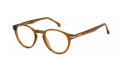 Carrera CARRERA 310 Brown (009Q) Eyeglasses - Color Image