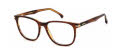 Carrera Carrera 308 BRW HORN B (EX4) Eyeglasses - Color Image