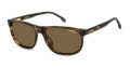 Carrera C FLEX 08/G/S Brown Horn (EX4/SP) Sunglasses - Color Image