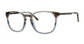 Chesterfield CH120XL Grey Havana (BSV) Eyeglasses - Color Image