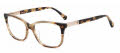 Kate Spade AMABELLA/G Horn Beige (02OH) Eyeglasses - Color Image