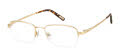 Fossil Trey Matte Gold (AOZ) Eyeglasses - Color Image