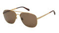 Fossil Fos 2143/G/S Ant Gold /Brown (OUN/70) Sunglasses - Color Image