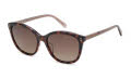 Fossil Fos 2148/S Copper (210/HA) Sunglasses - Color Image