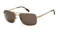 Fossil Fos 3161/G/S Antique Gold (OUN/70) Sunglasses - Color Image