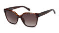 Fossil Fos 3170/G/S Havana (086/HA) Sunglasses - Color Image