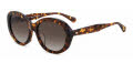 Kate Spade AVAH/F/S Havana (086) Sunglasses - Color Image