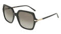Salvatore Ferragamo SF2076S Black (001) Sunglasses - Color Image