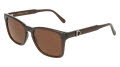 Salvatore Ferragamo SF2086SE Transparent Brown (232) Sunglasses - Color Image