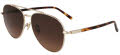 Salvatore Ferragamo SF316S Gold/Brown Gradient (745) Sunglasses - Color Image