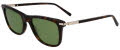 Salvatore Ferragamo SF2028S Dark Tortoise (242) Sunglasses - Color Image