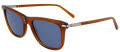 Salvatore Ferragamo SF2028S Transparent Brown (232) Sunglasses - Color Image