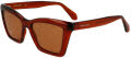 Salvatore Ferragamo SF2039SE Transparent Rust (224) Sunglasses - Color Image