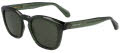 Salvatore Ferragamo SF2040SE Transparent Khaki (320) Sunglasses - Color Image