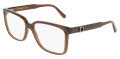 Salvatore Ferragamo SF3043E Transparent Brown (232) Eyeglasses - Color Image