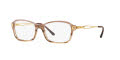 Sferoflex SF1557B Transparent Light Brown (C589) Eyeglasses - Color Image