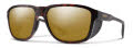 Smith Embark Matte Tortoise / ChromaPop Bronze Mirror (N9P580K) Sunglasses - Color Image