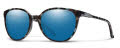 Smith Cheetah Sky Tortoise / ChromaPop Polarized Blue Mirror  (JBW54QG) Sunglasses - Color Image
