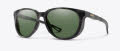 Smith Seeker Matte Ash Tortoise / Black (HLA57L7) Sunglasses - Color Image