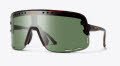 Smith Ultralite Matte Tortoise / Brown (N9P991H) Sunglasses - Color Image