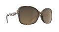 Spy Fiona Honey Tort Black - Happy Brown Fade (6700000000312) Sunglasses - Color Image