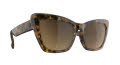 Spy SURF CAT Honey Tort - Happy Brown Fade (6700000000317) Sunglasses - Color Image
