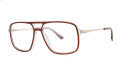 Stetson Stetson 370 Brown (183) Eyeglasses - Color Image