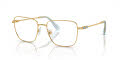 Swarovski SK1003 Gold (4021) Eyeglasses - Color Image