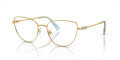 Swarovski SK1007 Gold (4021) Eyeglasses - Color Image