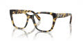 Swarovski SK2008 Havana-Clear (1009) Eyeglasses - Color Image
