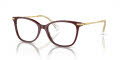 Swarovski SK2010 Burgundy (1008) Eyeglasses - Color Image