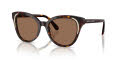 Swarovski SK6031 Dark Havana/Dark Brown (100273) Sunglasses - Color Image