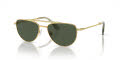 Swarovski SK7007 Gold (401782) Sunglasses - Color Image