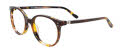 Takumi TK1129 Kids Brown & Demi Brown (010) Eyeglasses - Color Image