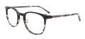 Takumi TK1159 With Magnetic Clip-On Lens Black & Demi Grey (090) Eyeglasses - Color Image