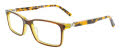 Takumi TK1160 Kids - No Clip-on Brown & Demi Amber (10) Eyeglasses - Color Image