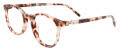 Takumi TK1254 Brown Tortoise (035) Eyeglasses - Color Image
