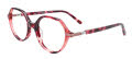 Takumi TK1264 Cherry Tortoise & Transparent Cherry (030) Eyeglasses - Color Image