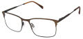 Ted Baker TM515 Brown Black (BRN) Eyeglasses - Color Image