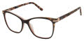 Ted Baker TW008 Black (BLK) Eyeglasses - Color Image
